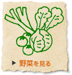 野菜を見る