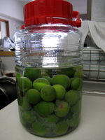 %E2%91%A1IMG_0038.JPG