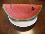 IMG_0192.jpg