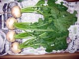 IMG_1421.jpg