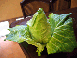IMG_2452.gif