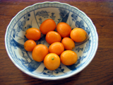 L021218B.jpg