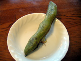 L090430B.jpg