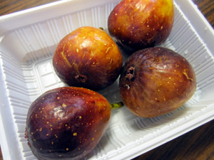 L100920b.jpg