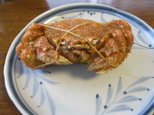 L20120206_4.jpg