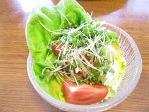 L20120412_3.jpg