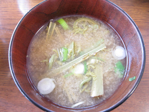 L20120510_5.jpg