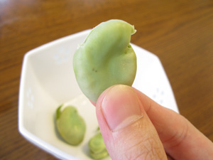 L20120608_6.jpg