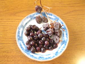 L20120726_5.jpg