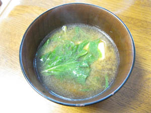 L20121031_4.jpg