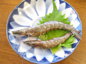 L20121108_4.jpg