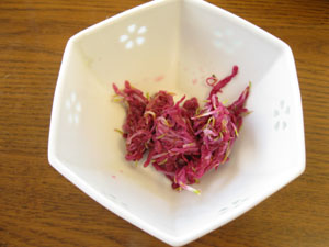 L20121108_5.jpg