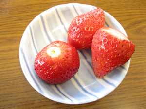 L20130322%20%285%29.jpg