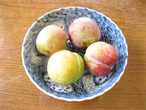 L20130801%20%286%29.jpg