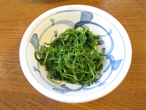 L20130823%20%282%29.jpg
