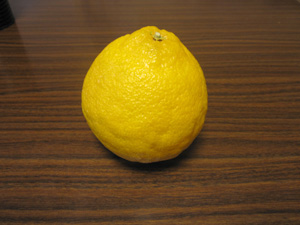 L_20101208%20006.jpg