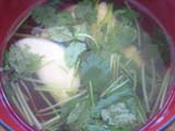 0130f.JPG