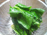 0215d.JPG