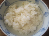0416e.JPG