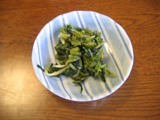 0514c.JPG