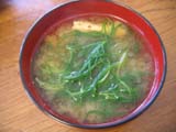 0522e.JPG