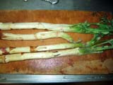 n_20090325%20005.jpg