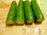 2/16準備