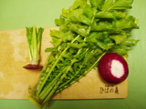 12/22準備