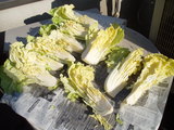 白菜漬け準備1