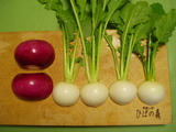 1/25準備