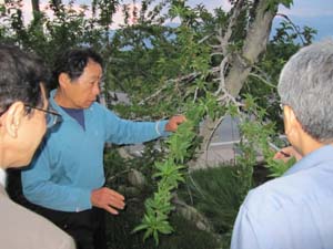s100715-e.jpg