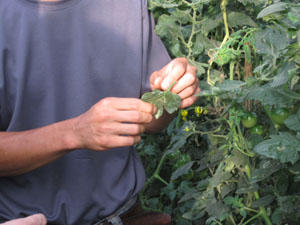 s100924-e.jpg